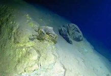 Mapeo marino revela cuáles son los puntos más profundos de los 5 océanos ciencia, oceanos, mapa,