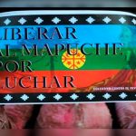 Asesinan a joven mapuche en comuna de Chile