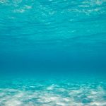 Alarma científica: Se hunde el suelo de los mares