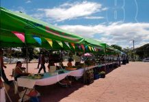 Feria del mar potencia la gastronomía nicaragüense