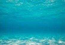 Alarma científica: Se hunde el suelo de los mares