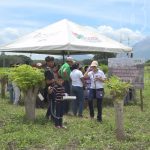 Productores del occidente de Nicaragua interesados en conocer las bondades del marango