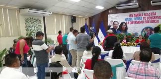 nicaragua, medio ambiente, cerro, kuskawas, naturaleza,