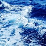 FOTO: Científicos descubren un nuevo depredador marítimo prehistórico