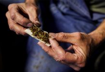 La marihuana medicinal en California será cosa del pasado