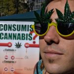 Argentina aprueba el uso medicinal de la marihuana