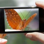 ¡Naturalist: la app para los amantes de la naturaleza