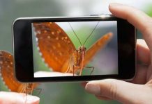 ¡Naturalist: la app para los amantes de la naturaleza