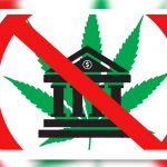 Preocupación en farmacias uruguayas que venden marihuana por cierre de cuentas bancarias