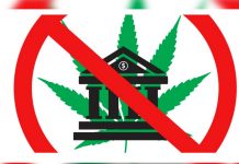 Preocupación en farmacias uruguayas que venden marihuana por cierre de cuentas bancarias