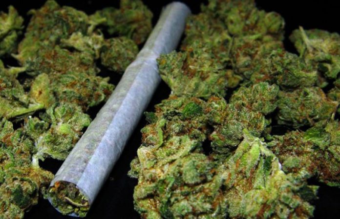 marihuana-kinder