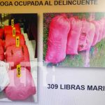 nicaragua, siuna, marihuana, incautacion, drogas,