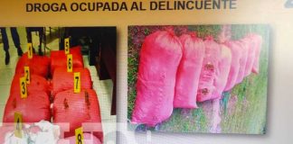 nicaragua, siuna, marihuana, incautacion, drogas,