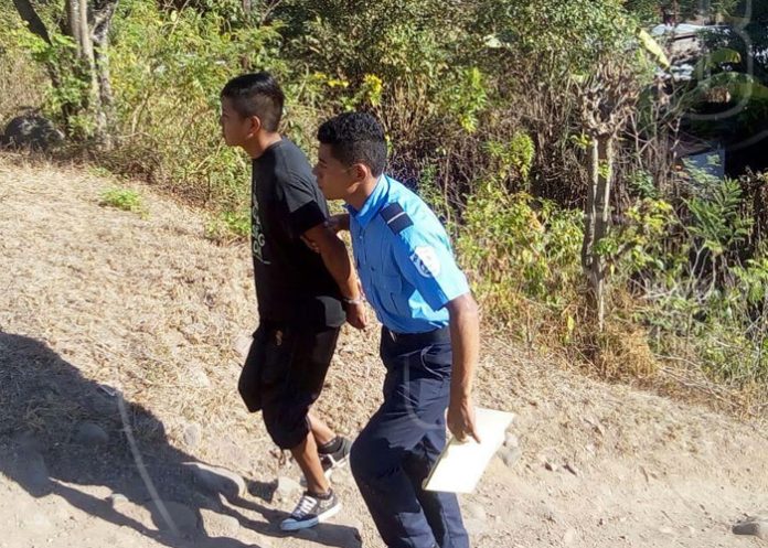 marihuanaesteli_rDCkJqO