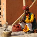 Un encantador muere mordido por su serpiente en la plaza de Marrakech