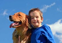 ¿Por qué los niños deben tener una mascota?