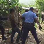 Acusan a adolescentes de expender drogas en Madriz