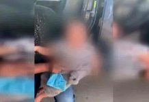 honduras, menores inmigrantes, migracion, estados unidos,