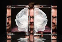 Descubren la zona del cerebro de pacientes con esquizofrenia que «oyen voces»