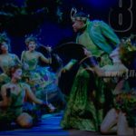 Cinemateca Nacional proyecto en vivo la obra Rusalka desde el Met de Nueva York