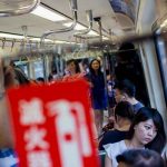 Las mascotas ya pueden viajar en el metro de Buenos Aires