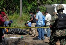 Hallan 6 cuerpos en fosa clandestina de exclusiva zona mexicana de Acapulco