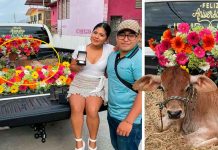 Viral: Mexicano le regala un becerro a su novia, por su primer aniversario mexico, viral, foto, becerro, aniversario, noviazgo, insolito, compromiso, redes sociales,