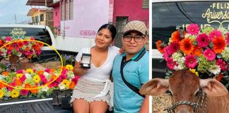 mexico, viral, foto, becerro, aniversario, noviazgo, insolito, compromiso, redes sociales,