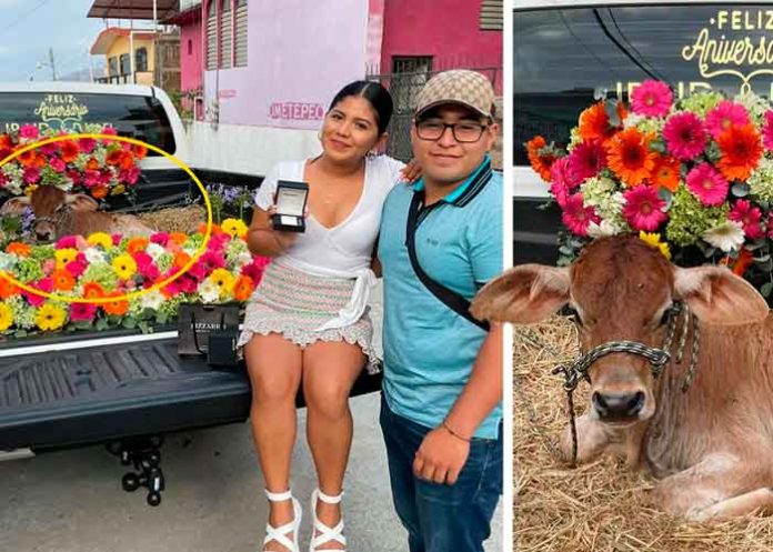mexico, viral, foto, becerro, aniversario, noviazgo, insolito, compromiso, redes sociales,