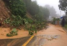 Tormenta Beatriz deja dos muertos y dos desaparecidos en México