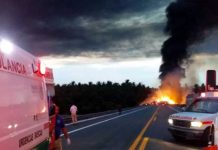 Catorce muertos y 20 heridos en un accidente de tránsito en México