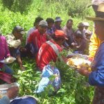 Al menos 80 indígenas campesinos desaparecidos en el norte de México