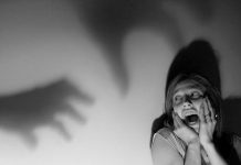 La causa del miedo podría estar en las tripas