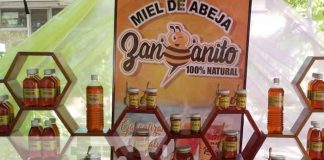 nicaragua, miel, apicultura, reunion, marena, miel,