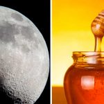 Por esta razón los recién casados van de Luna de Miel