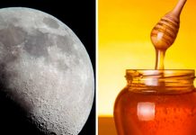 Por esta razón los recién casados van de Luna de Miel