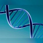 Logran modificar una molécula de la leche materna para combatir el cáncer