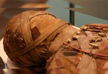 Descubren una momia egipcia de la época grecorromana en buen estado