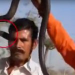 India: Cobra muerde a un hombre en la mejilla mientras posa para una foto