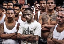 Gobierno salvadoreño confirma cisma en pandilla MS13 y surgimiento de MS503