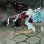 Trifulca por guaro deja un muerto y un herido de gravedad en Nueva Guinea