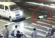 VIDEO: Mujer es atropellada dos veces y nadie le ayuda