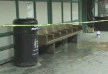 Embarazada es apuñalada en un tren en El Bronx