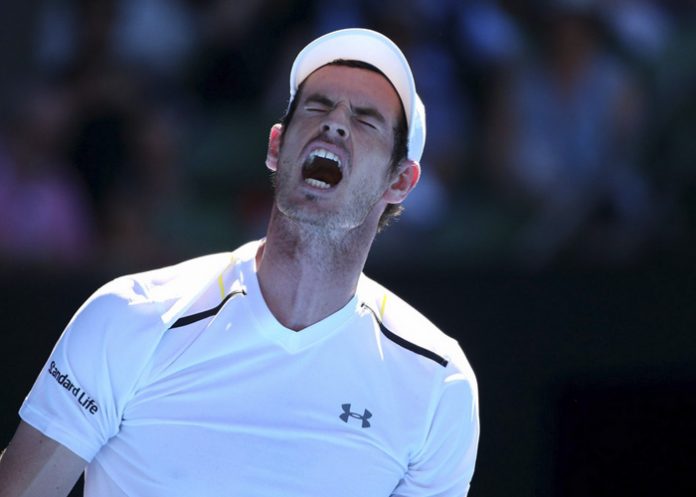 murray