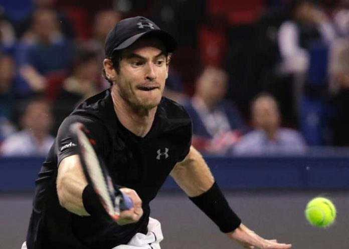 murray1