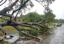 Carazo atiende incidencias causadas por tormenta tropical