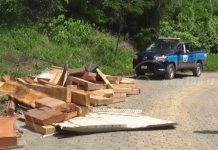 Nandaime: Dejan abandonado camión con madera preciosa por falla mecánica
