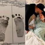 miami, bebe, vida, natti natasha, raphy pina, viral,