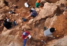 Descubren restos de los primeros humanos del Neolítico en península ibérica