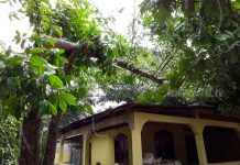Fuertes vientos afectan viviendas en Bilwi